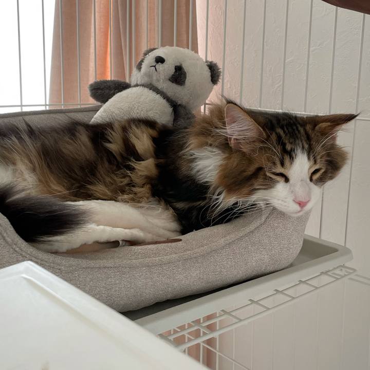 A1aedc6d 7e38 42cc a9f1 0ef579d427ce 1636762298895