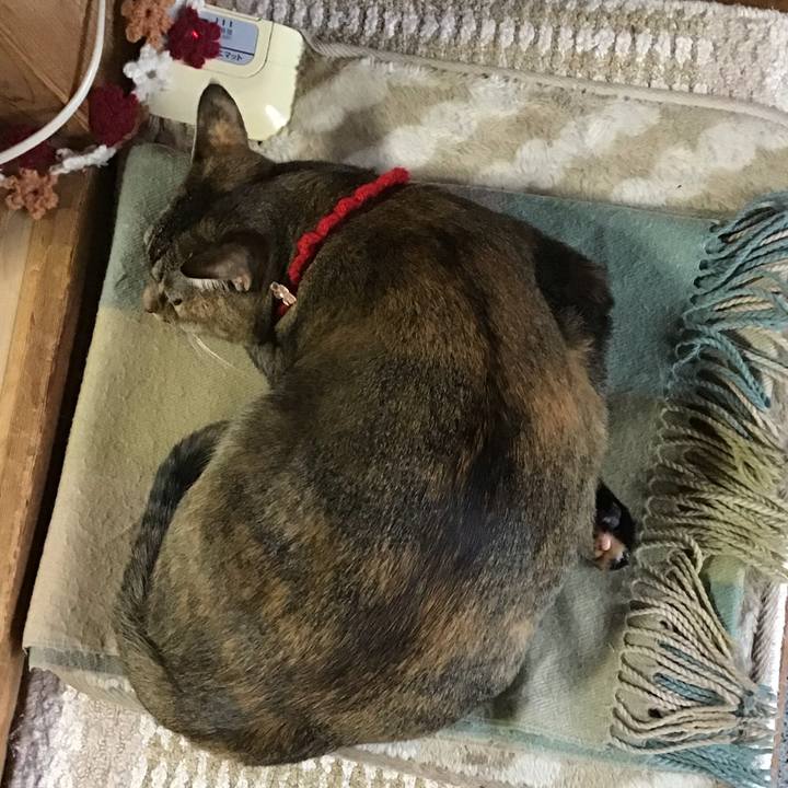 A1af4580 95be 41ba aa48 ee747d9c2e13 1613366991417