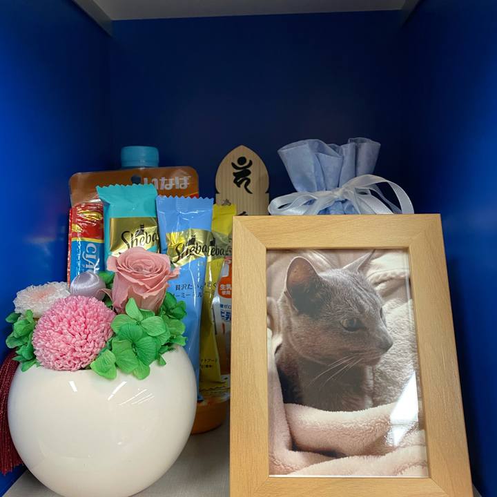 A1af5105 186a 4c68 97f0 a234a7d01d53 1620467043731