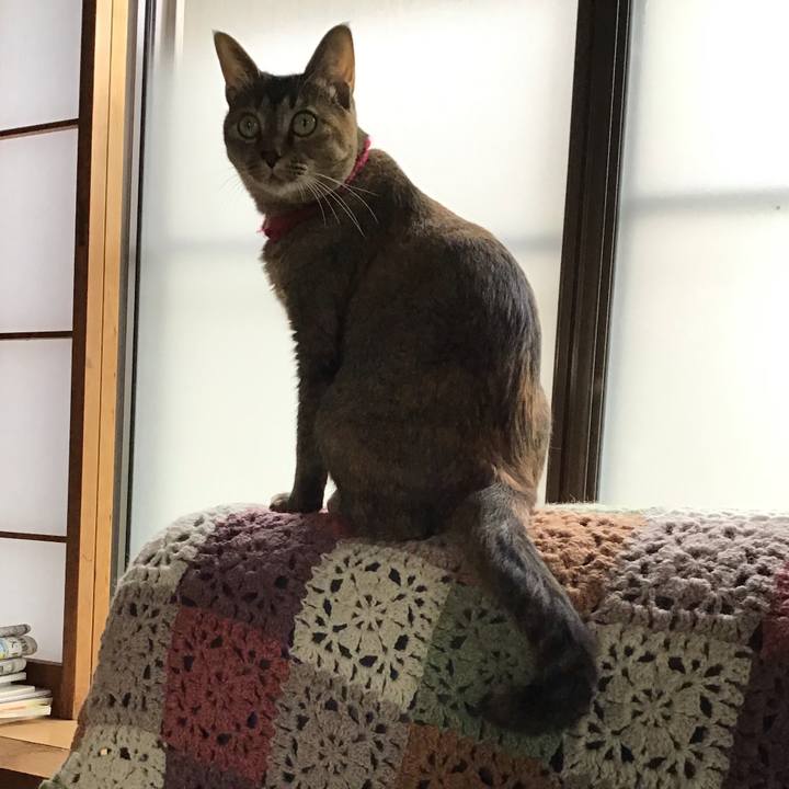 A1af55eb bb0e 4f76 8892 d9b2f2f98dfd 1598940958577