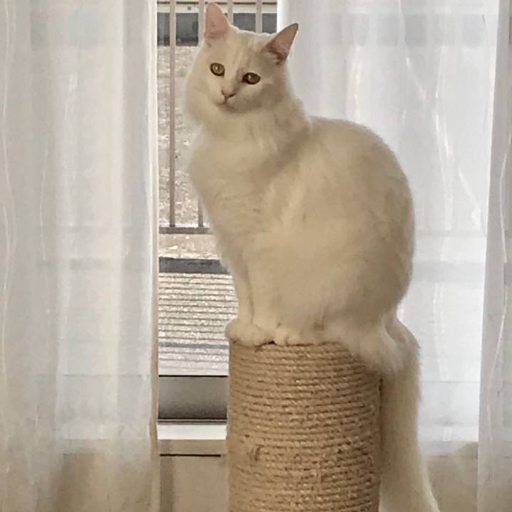 A1af5984 1225 4fee a2ea 2af7c5edad59 1543659317965