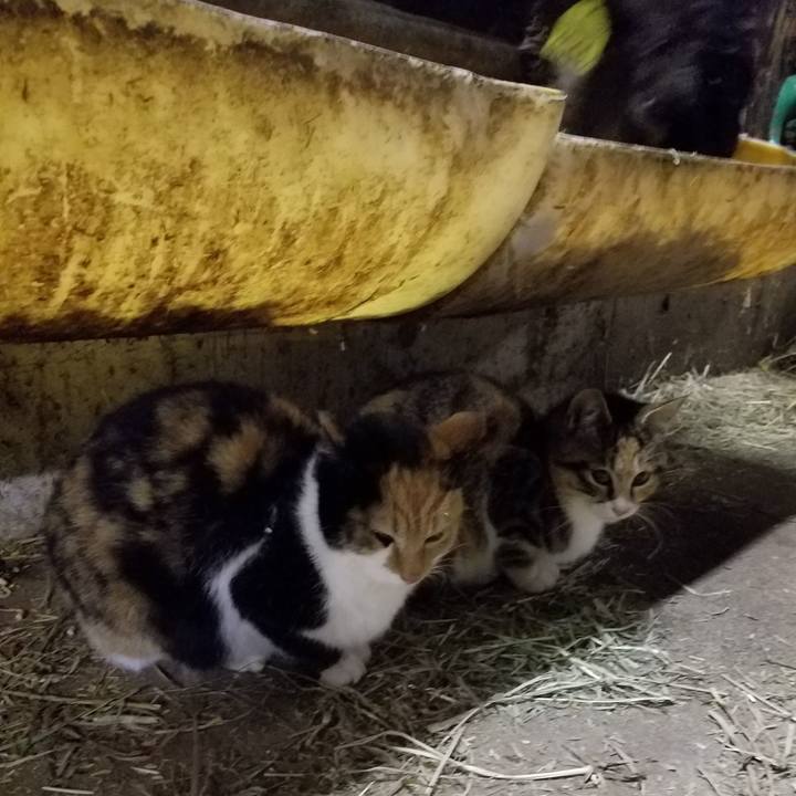 A1af6507 56be 4f73 9464 383438ffa1d8 1516743825690