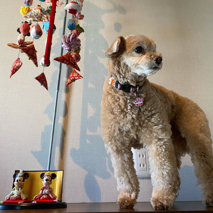 A1af7681 a72f 4200 b073 c3d14b21def0 1614745065844