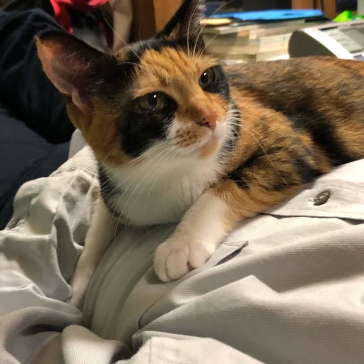 A1af9175 6298 4e49 ae19 e8fe13261e03 1538051922535