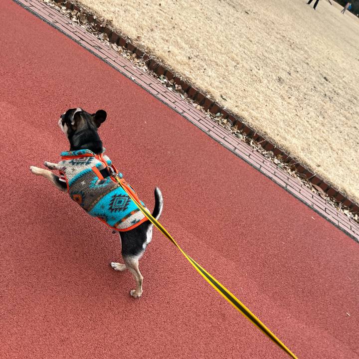 A1afcf5c ae56 42bc a757 55f385297792 1737266341128