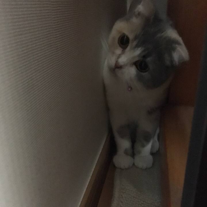 A1afd3bf 4d62 4014 a188 1e5ab86106b5 1537879614647