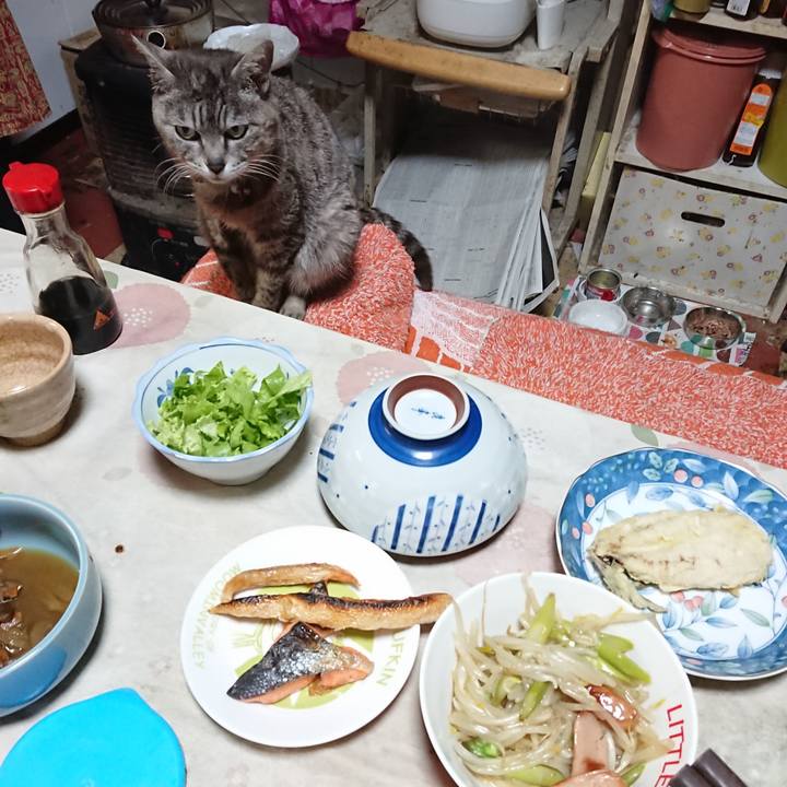 A1afec61 b4c0 4684 9faf 1c12369dcd43 1590236240031