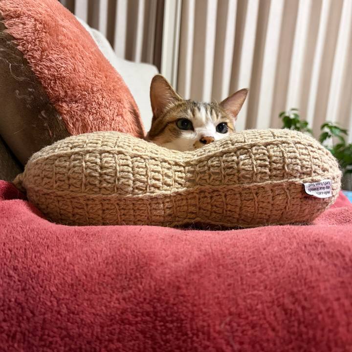 A1aff6d8 9fa2 491c 9abe 1b1893b015cf 1771160743572