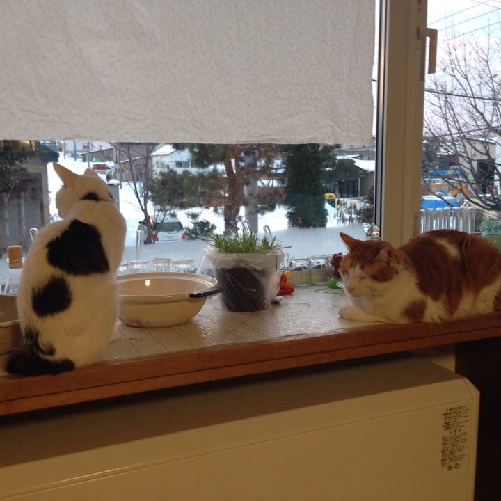 A1b02064 7068 4522 8fdd 813fb362e158 1515707913722