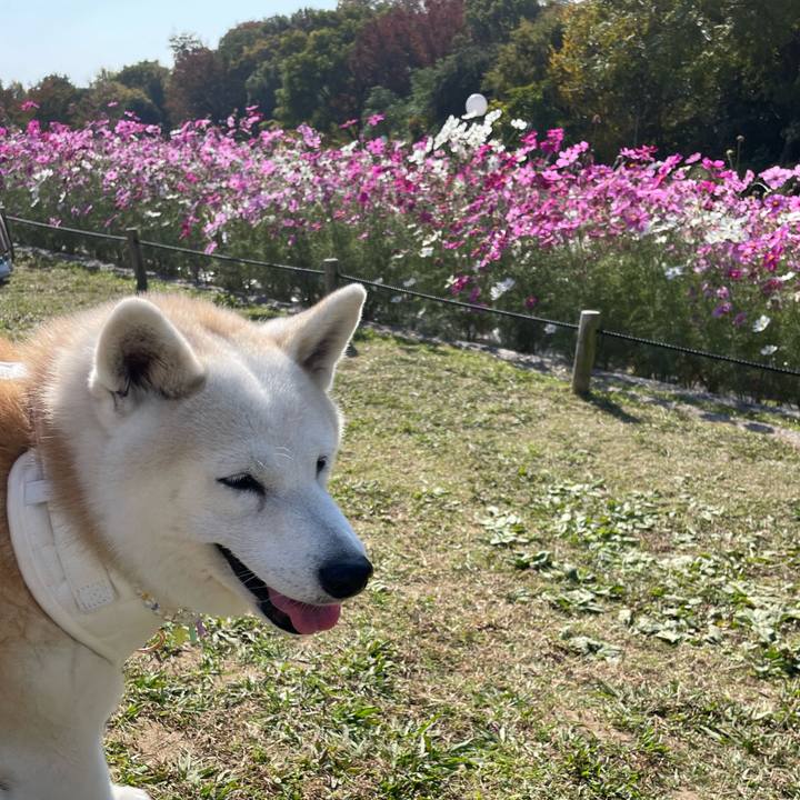 A1b06674 3c39 4f02 9436 adad012c85a3 1668290793897