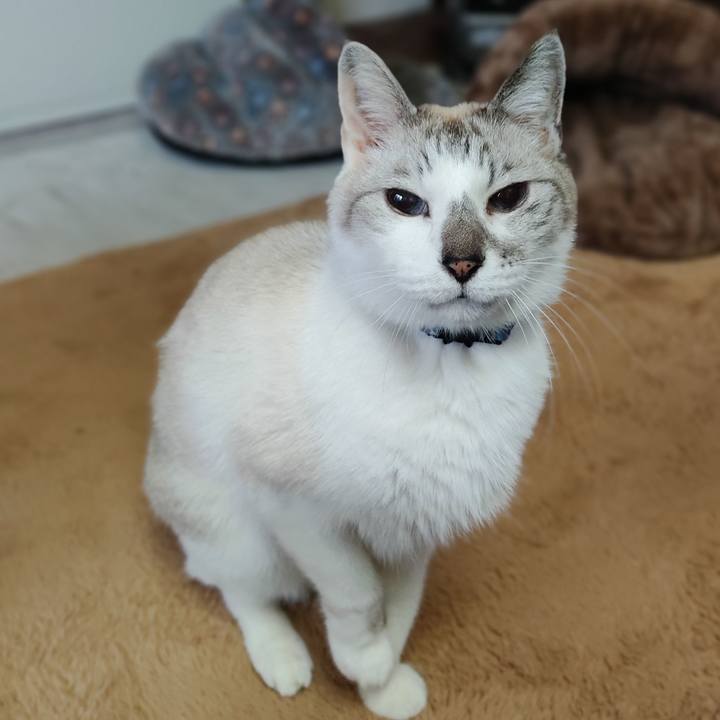 A1b09b40 d1fd 407a a1c5 e6d662bcb626 1674536142035