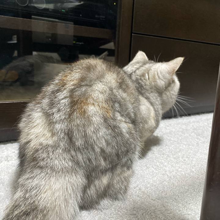 A1b0f249 df7a 45ac a36e 965f00309746 1765179783836