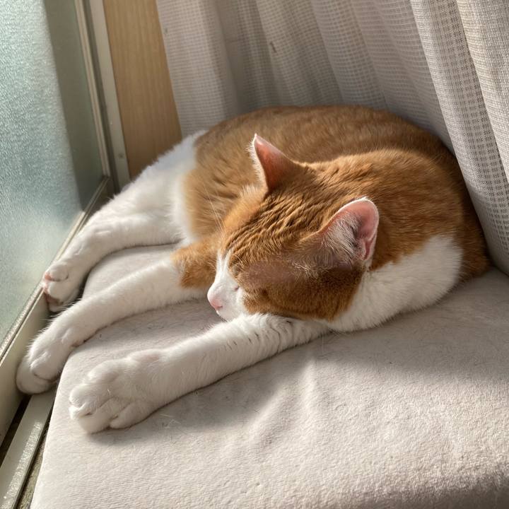 A1b104a4 f306 496f 9ec2 26433467689f 1776163816335