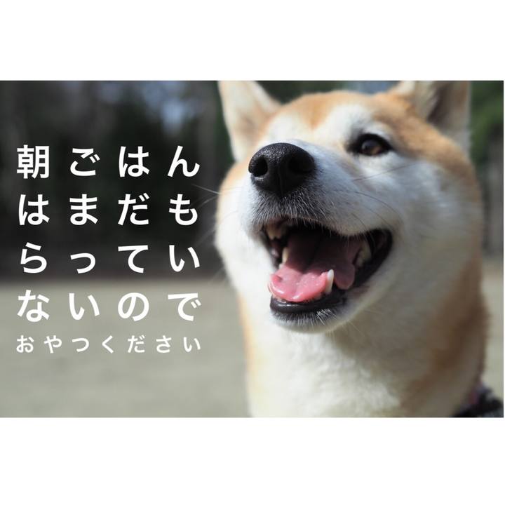 A1b1184d ec87 4e23 8b50 c336a0de2468 1556334775122