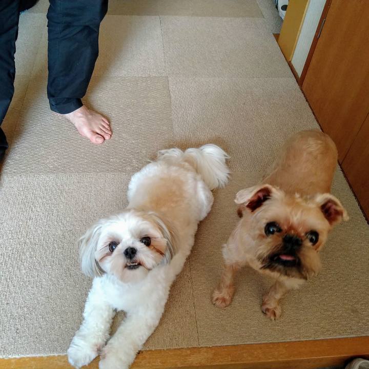 A1b15772 fd68 4d88 8719 bf389f964073 1632214494126