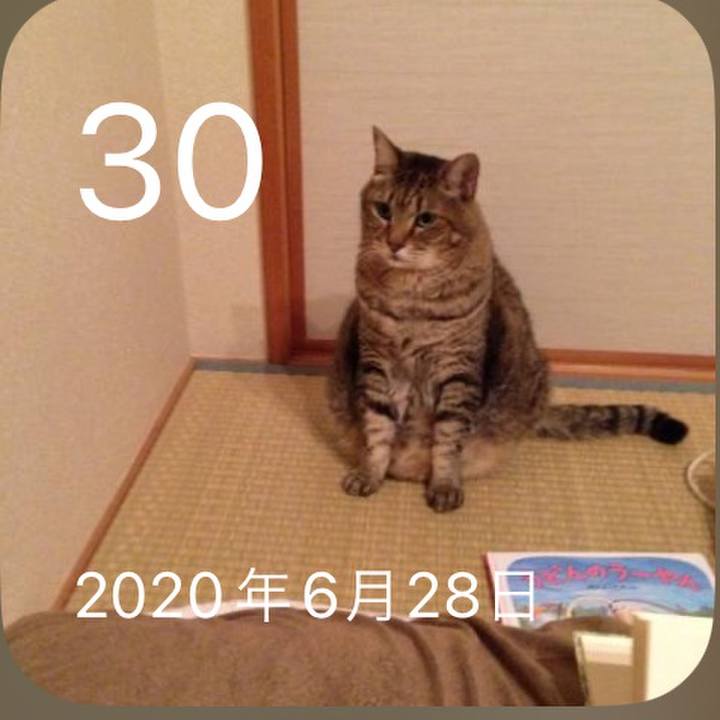 A1b15c0d caf6 4906 aadb 1b485dbf4d1d 1688133128325