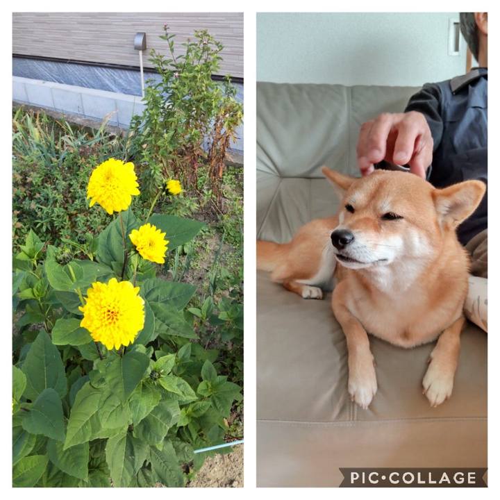 A1b16351 b5f7 43f0 9278 d6e51ceec326 1668759229466