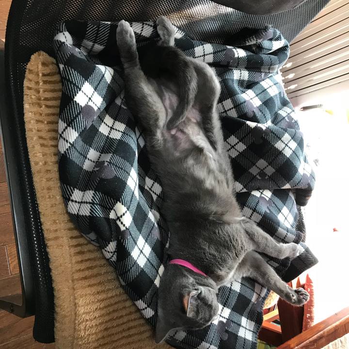 A1b1743d 678c 43f9 8d29 b50e993c6edc 1519733577429