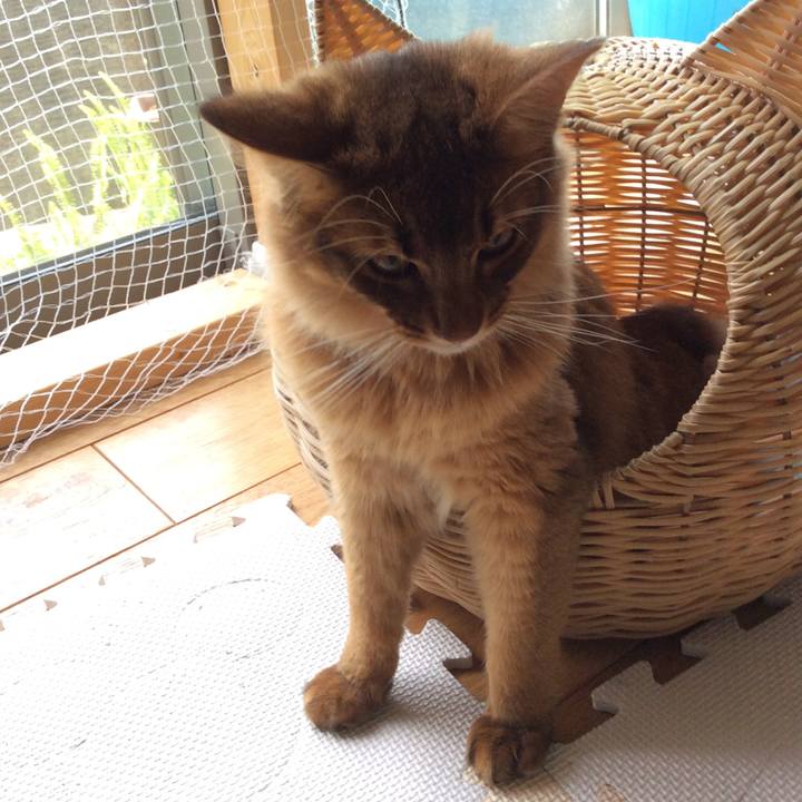 A1b187bd 9885 4be1 bb37 7bc8ab601c4c 1591321245459