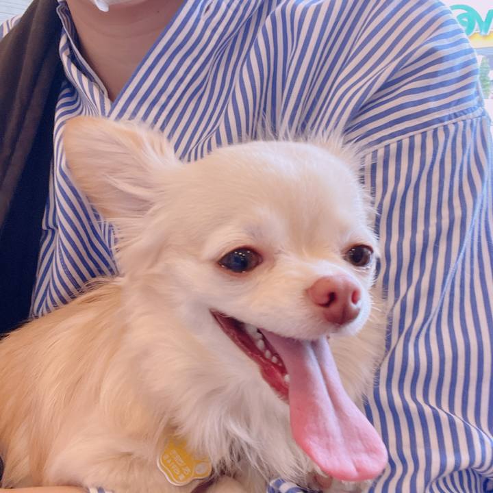 A1b193a1 60f3 417a 9a77 0b2fa050121a 1681465251211