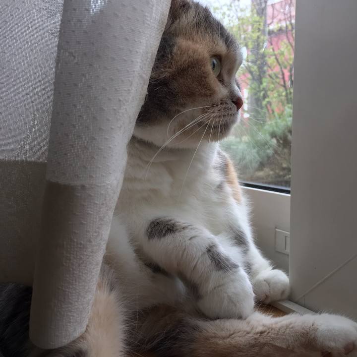 A1b19bac 2e42 4c54 8610 21f6af36eed7 1569235497637