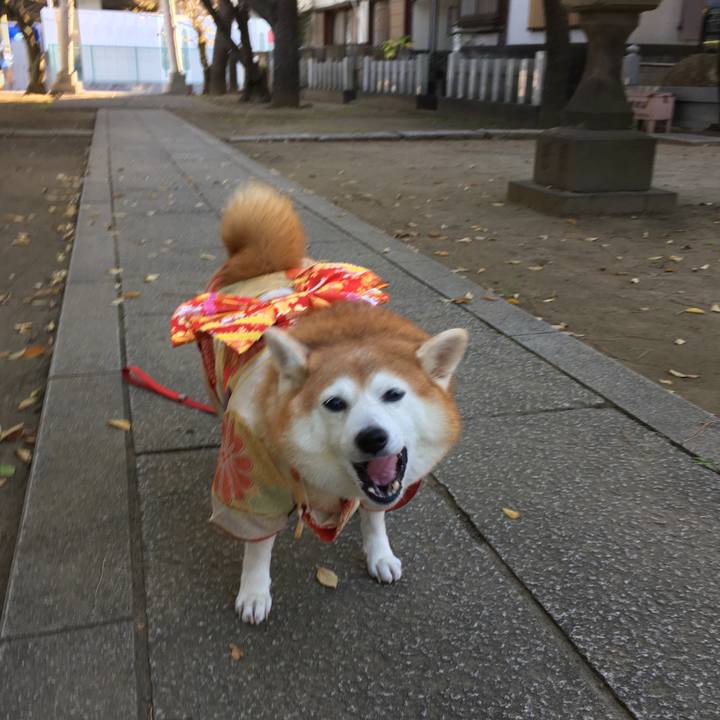 A1b1a4f1 e098 4042 9fc5 8331364f4e4c 1542453243052