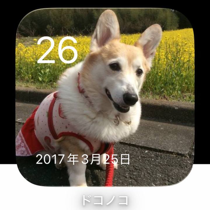A1b1ac2e 9220 4e12 8377 34b2c80a1c32 1774516282588