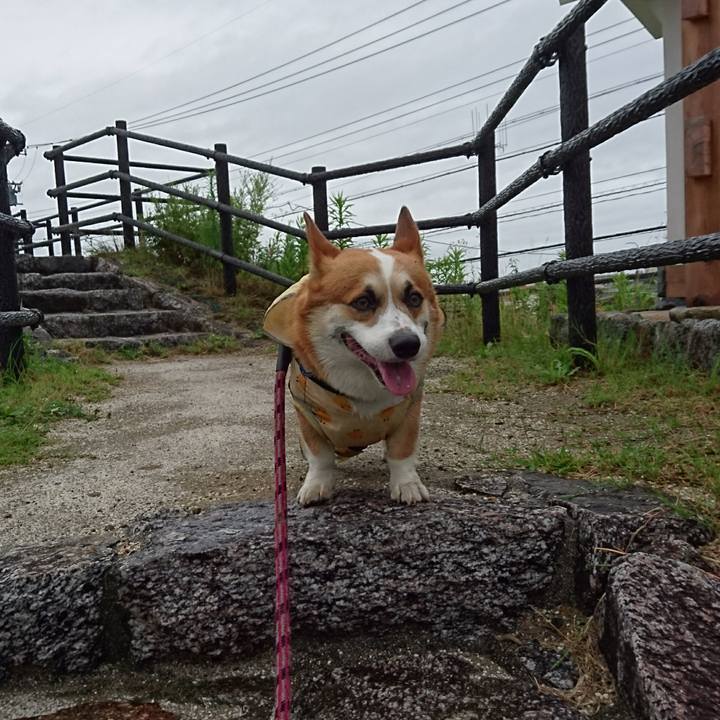 A1b1c245 2953 469d beab 43085b6a510f 1625275800478