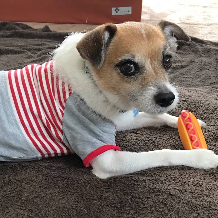 A1b1c684 04bb 40b5 9144 fd28282f5981 1562209828447