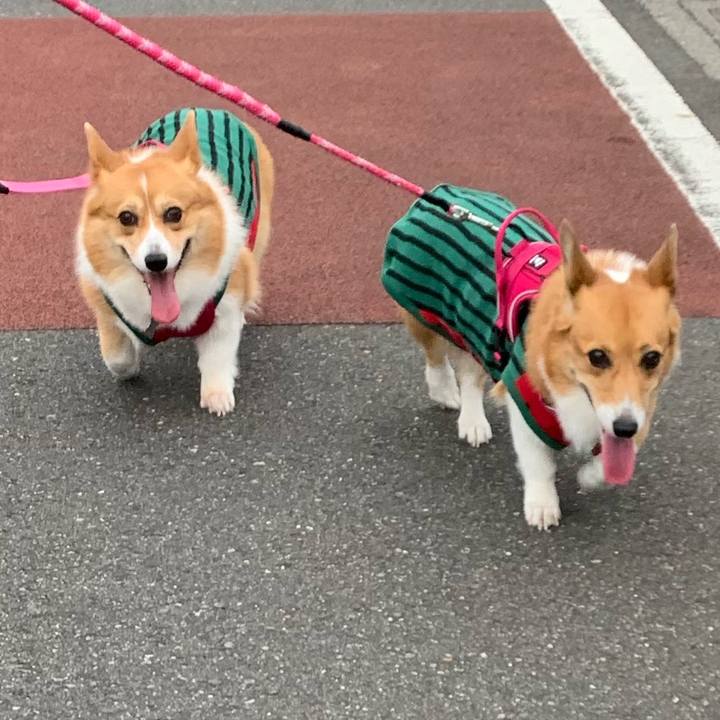 A1b1dd01 2b26 4418 ae34 fee5392c9287 1598131942266