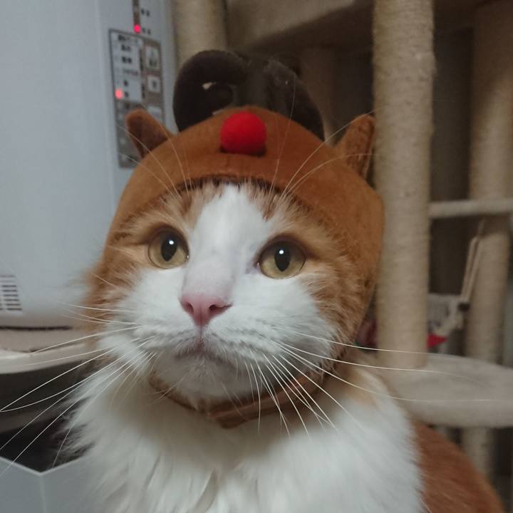 A1b1ed8b 2e97 47d5 96a3 71854457b864 1545299857857