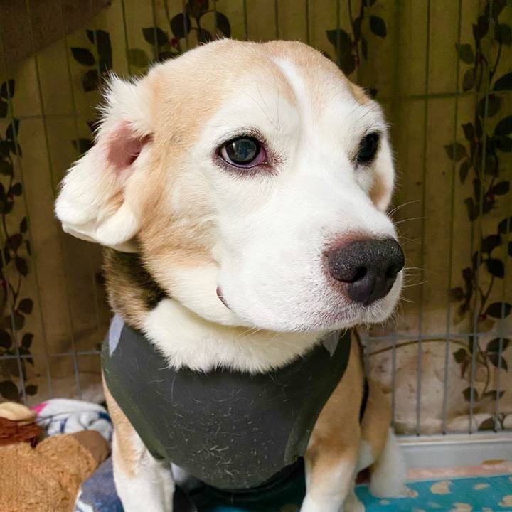 A1b24333 a5c5 477f ac28 d591ddaf664b 1628999301936