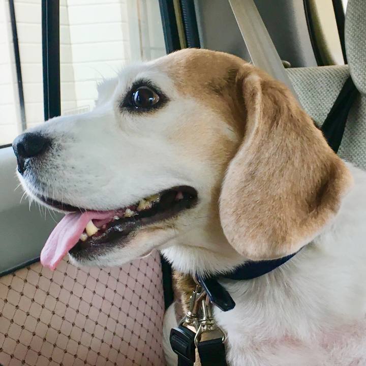 A1b24b0d 5169 4e3c 8f14 306bb9b0e5ff 1544409874287