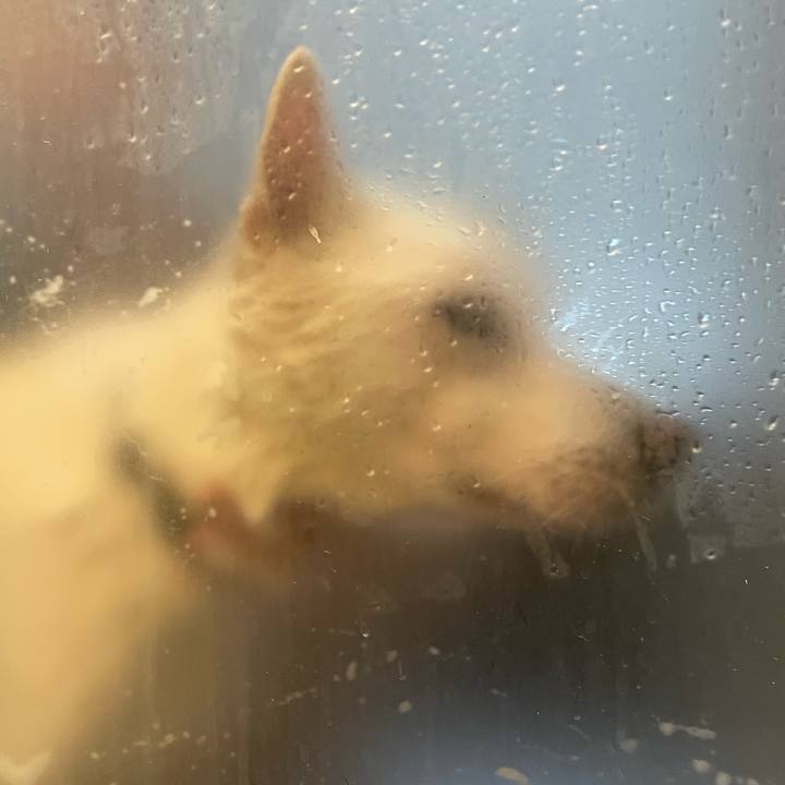 A1b27ff9 b43c 4e0b a1f5 48878edb6be4 1758415279135