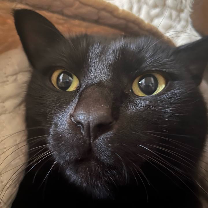 A1b2b5e2 04ff 475f af13 5d09e2e25439 1677983817749