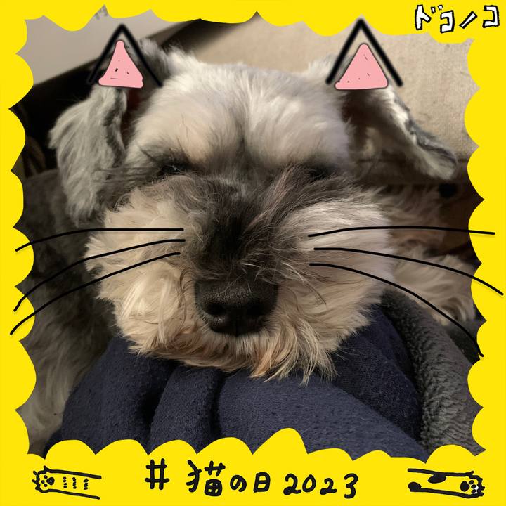 A1b2d992 7319 4c27 a301 afe2c33c12d7 1677037638351