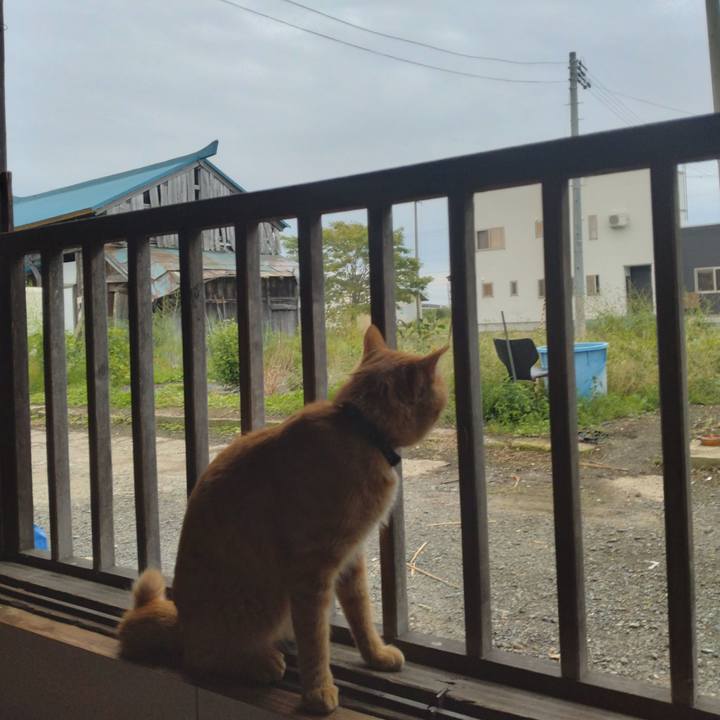 A1b304be 5af5 439d 8b9c 21a0a856ddc4 1664318167367