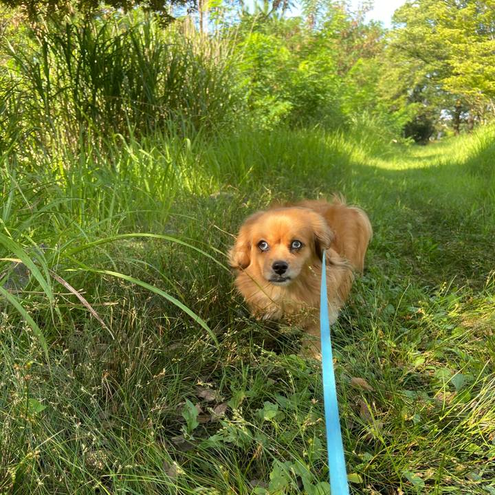 A1b30d9e a5be 4a99 9708 cac6ef7aa893 1597015657030