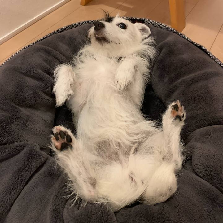 A1b3585a d25f 4fe2 96c3 bf48cad853fe 1656850596578