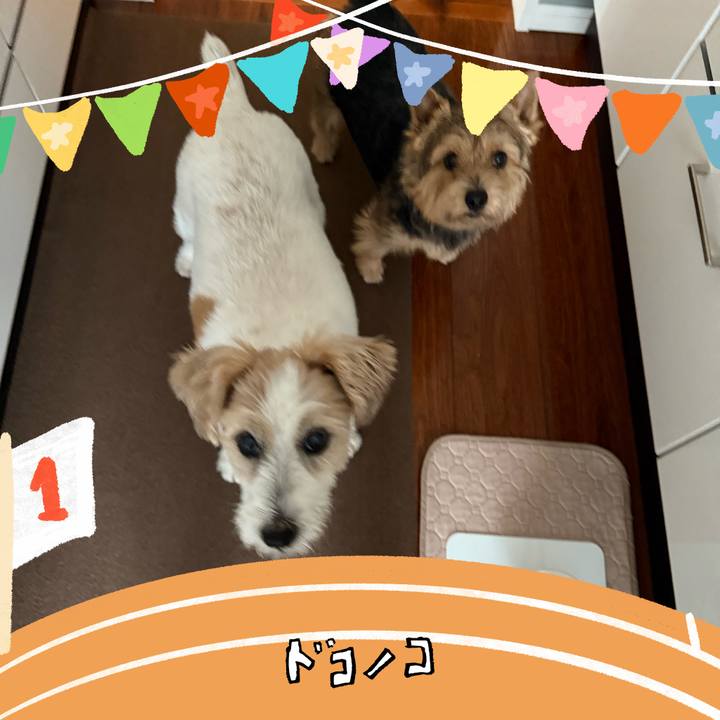 A1b38e98 5c62 44bf b39c e31f3cefdcb8 1761139124716