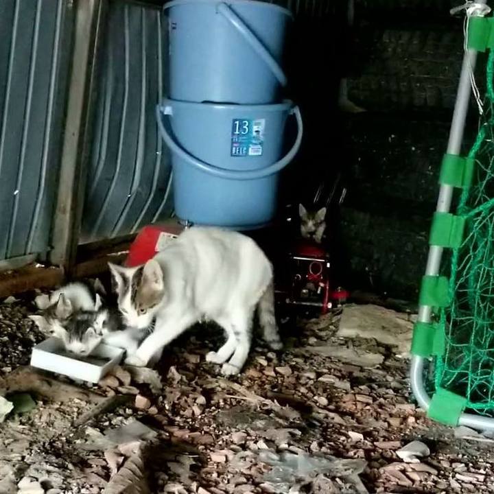 A1b391a0 e596 4631 afe3 dac4fb7480d9 1567410645756