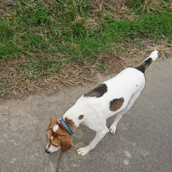 A1b3b1ee 05d1 4eae 9e92 b86b956f2155 1569310438045