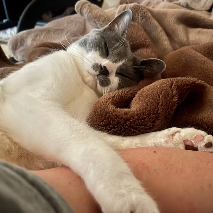 A1b3b5c5 d91c 4f26 8544 71fd37b122c5 1653610500960