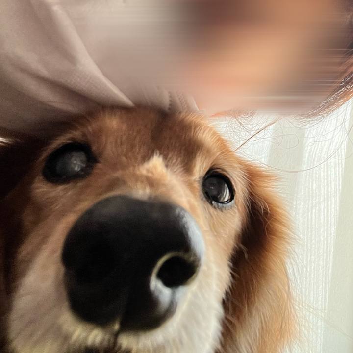 A1b3f3b5 df6b 4f61 84f8 818b31ebb91e 1673085994932