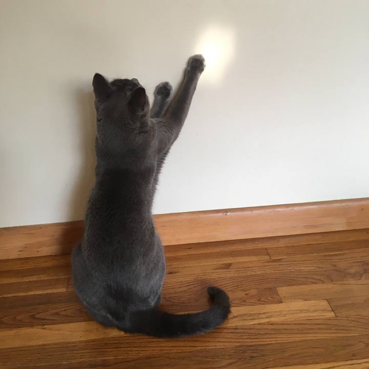 A1b401ec 0716 4bde 8a42 175be4b99d3f 1626440097307