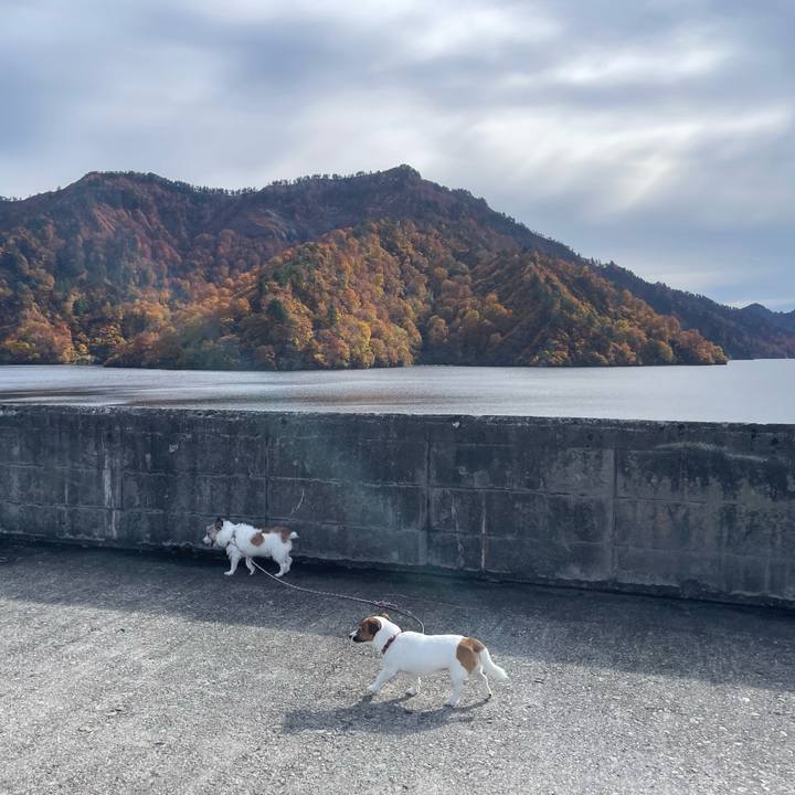 A1b41428 ba0e 4255 8567 7db8e2b42a86 1762321330248