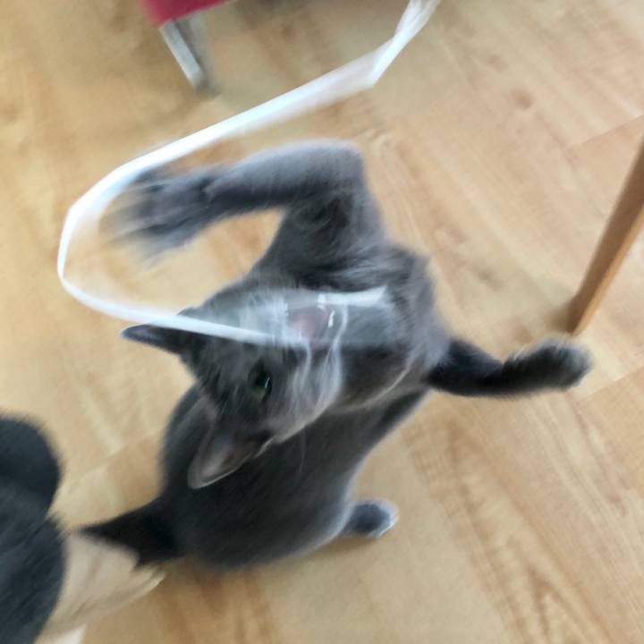 A1b4178e d5c4 4d3e bacc a5575344a744 1603064546995