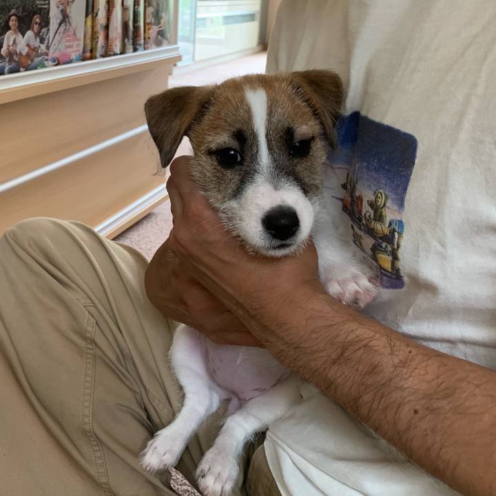 A1b4b06a ee00 4c3e a361 b3474c24b170 1559364830818