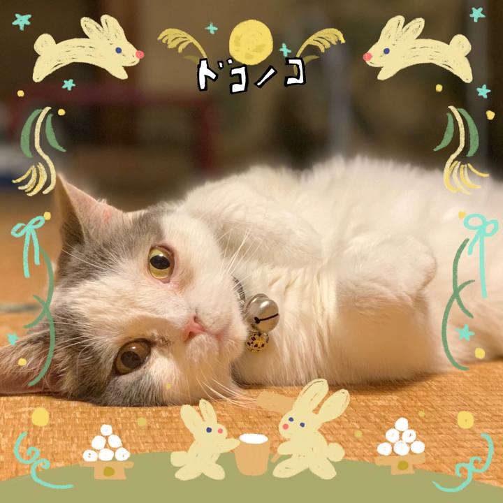 A1b4baeb d3f0 43f4 bb96 999dada81063 1727093014882