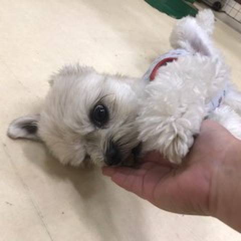 A1b4bbbb f029 4a39 8ae8 95bd46466176 1513250244550